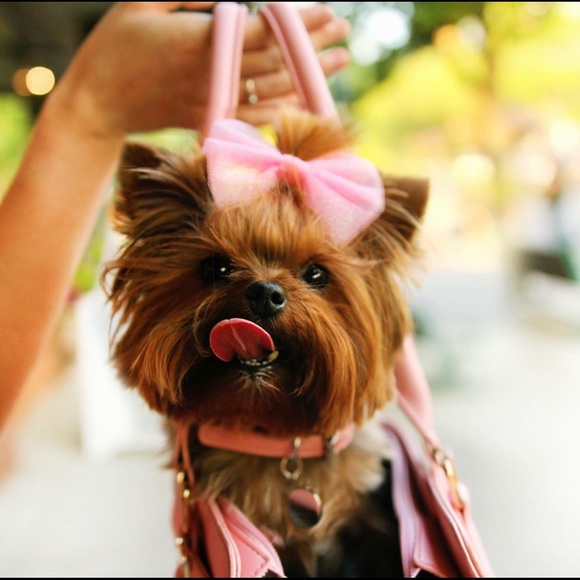 Meet your Posher, Kristen - Picture 1 of 1